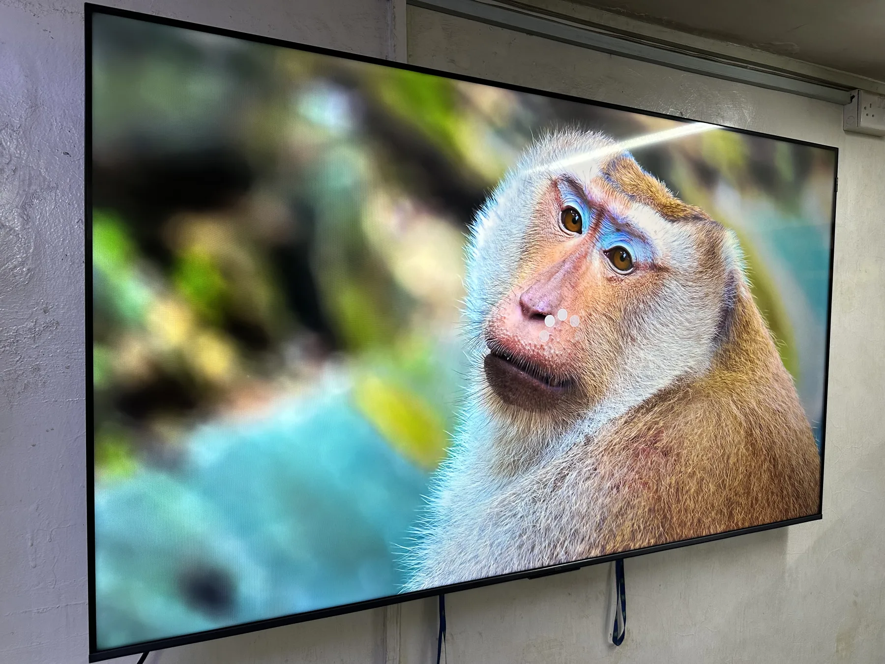 65” TCL P8L Premium QD-Mini LED 4K Quantum Dot (QLED) Google TV, ONKYO Hi-Fi Speaker System.